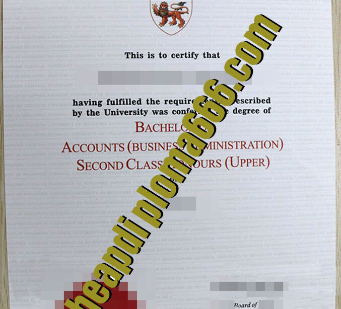 fake National University of Singapore degree certificate