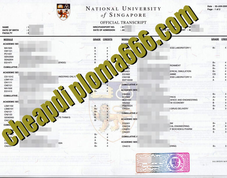fake National University of Singapore transcript