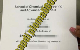 Newcastle University fake degree certificate