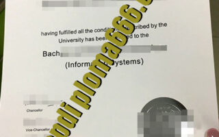 fake Queensland University of Technology diploma