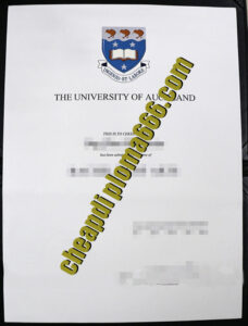 fake University of Auckland diploma
