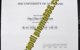 fake University of Auckland diploma