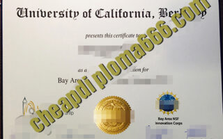 fake University of California, Berkeley degree