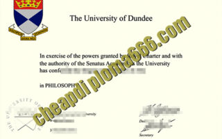 University of Dundee fake degree certificate