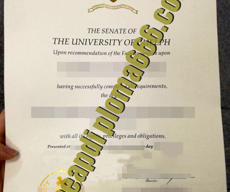 fake University of Guelph diploma