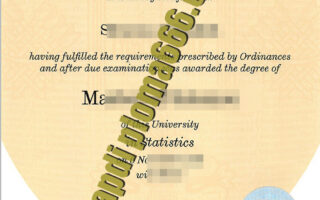 University of Sheffield fake degree certificate