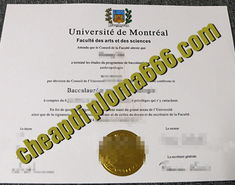 fake Université de Montréal degree certificate