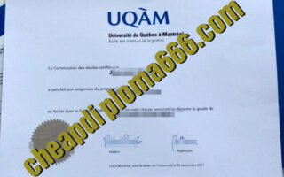 fake Université du Québec à Montréal diploma