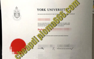 buy York University degree certificate