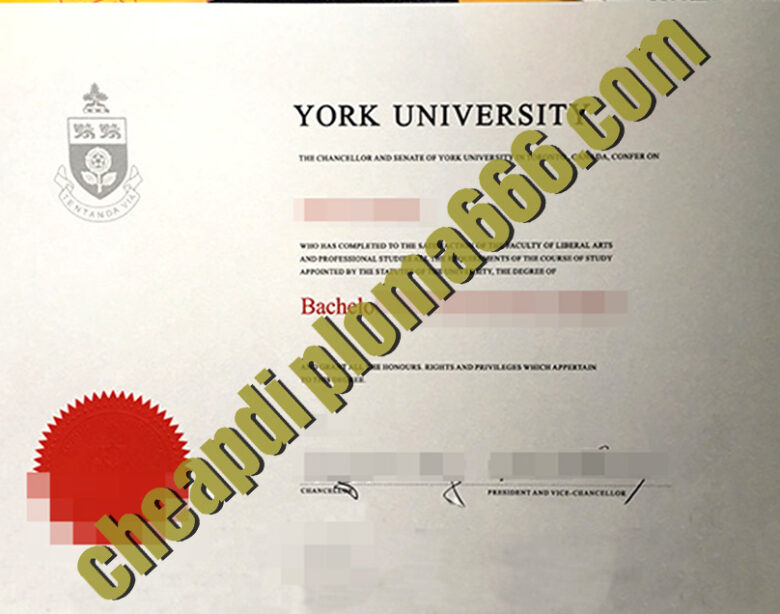 buy York University degree certificate
