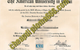 buy American University in Dubai degree certificate