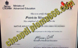 buy Nicola Valley Institute of Technology degree certificate