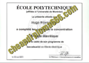 buy École Polytechnique degree certificate