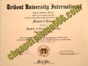 buy Trident University International degree certificate