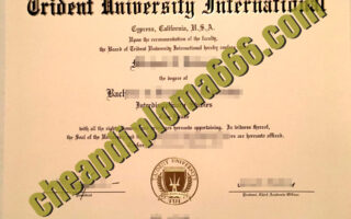 buy Trident University International degree certificate