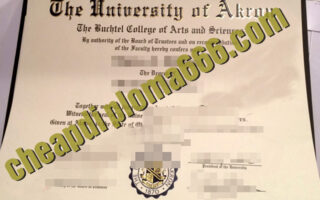 buy University of Akron degree certificate