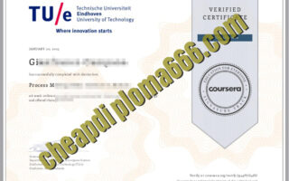 fake Eindhoven University of Technology degree certificate