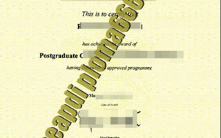 fake University of Gloucestershire degree certificate