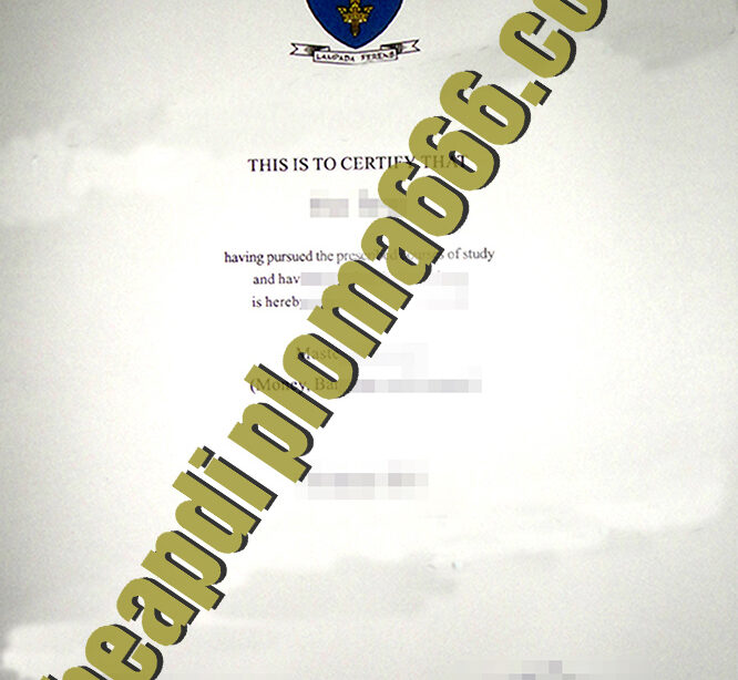 University of Hull fake degree certificate