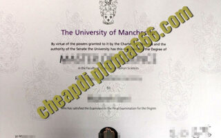 fake University of Manchester degree certificate