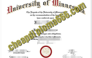 fake University of Minnesota degree certificate