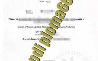fake University of Southern Denmark degree certificate