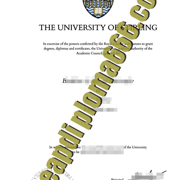 fake University of Stirling diploma