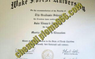 Wake Forest University fake degree certificate