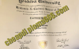fake Yeshiva university degree certificate