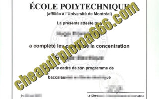 fake Ecole Polytechnique degree