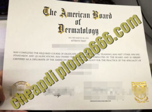 American Board of Dermatology degree certificate