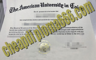 American University in Cairo diploma