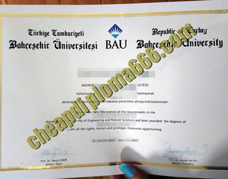 Bahcesehir University degree