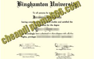 fake Binghamton University degree