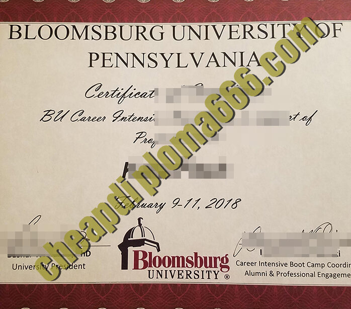 Bloomsburg University of Pennsylvania fake degree certificate