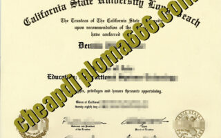 fake California State University  Long Beach degree