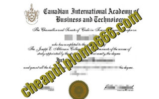 fake Canadian International Academy Business&Techno degree