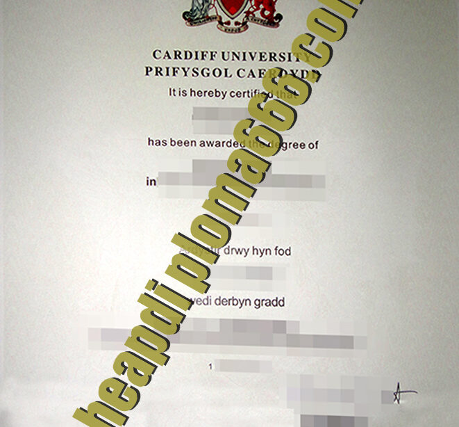 Cardiff University degree