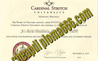 Cardinal Stritch University degree