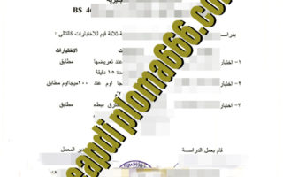 fake Carlo University degree certificate