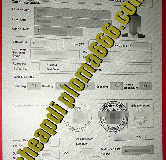 fake IELTS certificate