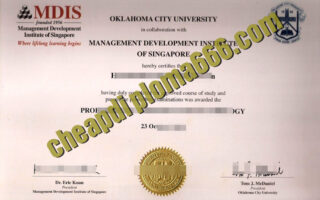 Management Development Institute of Singapore fake degree certificate