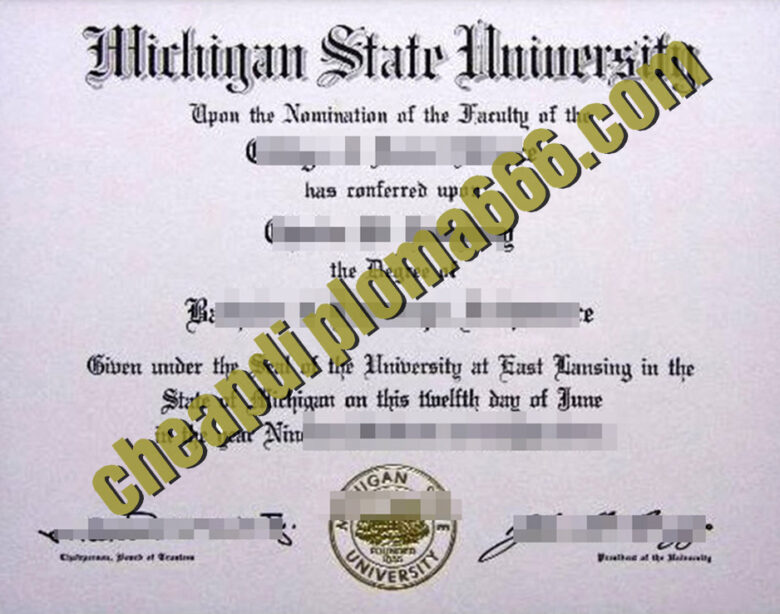 Michigan State University fake degree