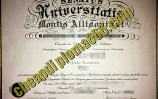 Mount Allison University fake degree