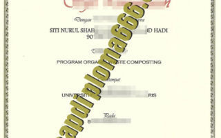 fake Sultan Idris Education University diploma