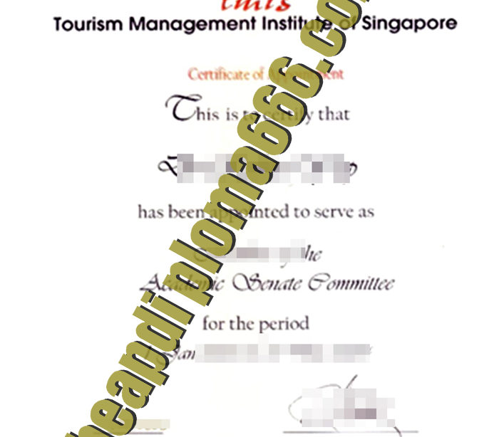 fake Tourism Management Institute of Singapore degree