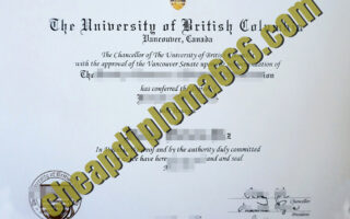 UBC Sauder School of Business fake degree certificate