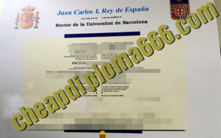 fake University of Barcelona degree certificate