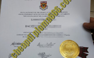 fake University of Calgary diploma