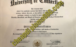 fake University of Connecticut degree certificate
